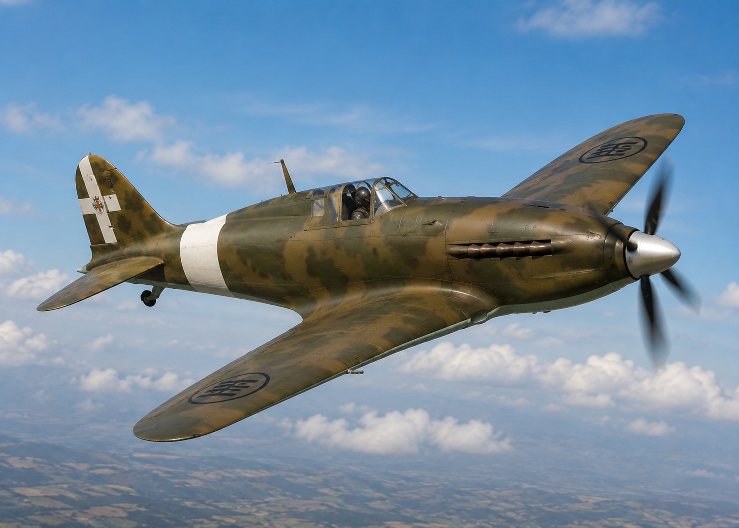Reggiane Re.2005 Sagittario real reference